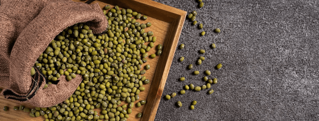 Australia's Mungbean Boom: A Potential Game-Changer for Global Pulse Markets