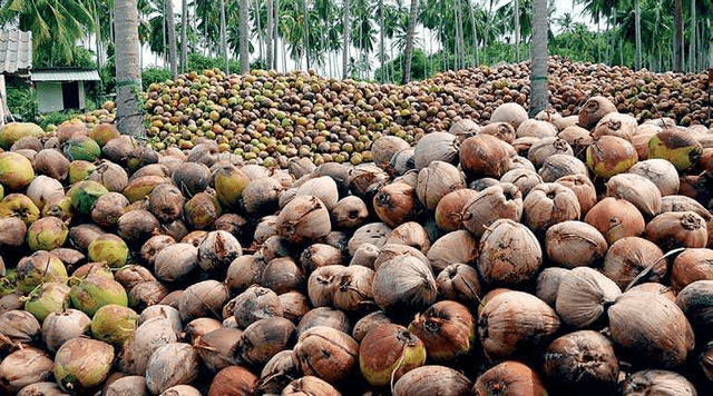 Jaffna, SL