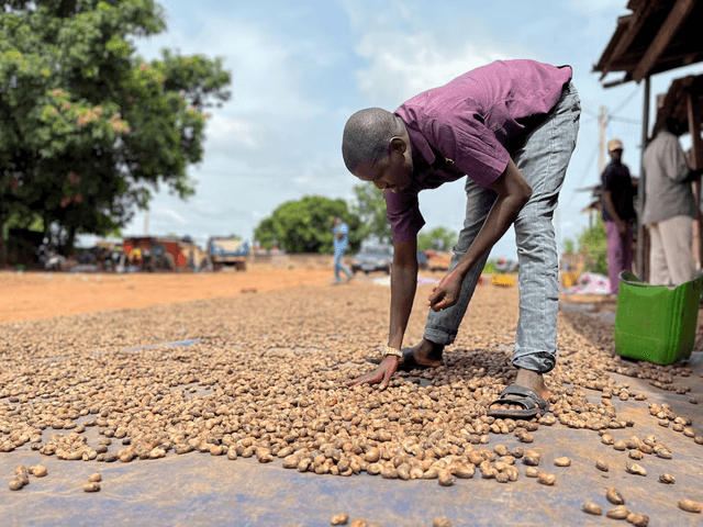 Guinea-Bissau