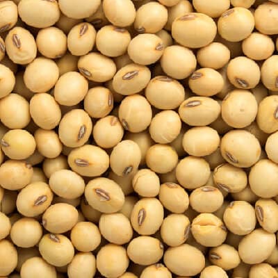 Soya beans