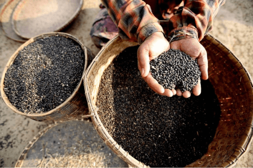 BlackMatpea
