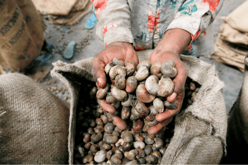 Cashews