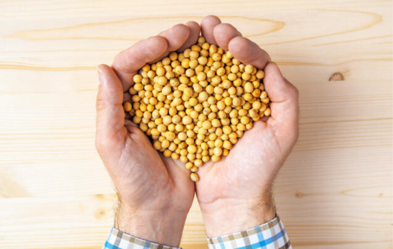 Soybeans